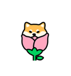 フィバシバ（個別スタンプ：3）