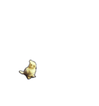 動く！セキセイインコちんちゃん（個別スタンプ：8）
