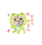 ゆずスタンプだにゃん1（個別スタンプ：2）