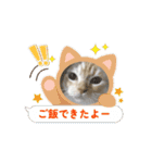 ゆずスタンプだにゃん1（個別スタンプ：16）