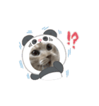 ゆずスタンプだにゃん2（個別スタンプ：9）
