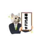 ゆずスタンプだにゃん2（個別スタンプ：10）