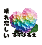 ❤️飛び出すカラフルなアジサイのお花❤️（個別スタンプ：7）
