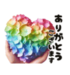 ❤️飛び出すカラフルなアジサイのお花❤️（個別スタンプ：13）
