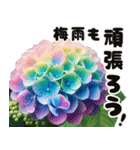 ❤️飛び出すカラフルなアジサイのお花❤️（個別スタンプ：14）