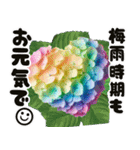 ❤️飛び出すカラフルなアジサイのお花❤️（個別スタンプ：15）