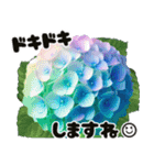 ❤️飛び出すカラフルなアジサイのお花❤️（個別スタンプ：19）