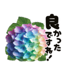 ❤️飛び出すカラフルなアジサイのお花❤️（個別スタンプ：20）