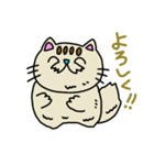 空ネコ"プンム"のスタンプ（個別スタンプ：25）