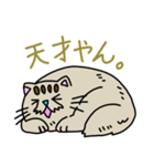 空ネコ"プンム"のスタンプ（個別スタンプ：35）