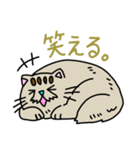 空ネコ"プンム"のスタンプ（個別スタンプ：36）