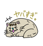空ネコ"プンム"のスタンプ（個別スタンプ：37）