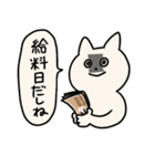 うちねこ2/お金で解決しようとする猫（個別スタンプ：18）