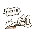 うちねこ2/お金で解決しようとする猫（個別スタンプ：27）