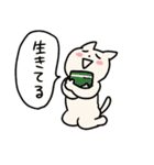うちねこ2/お金で解決しようとする猫（個別スタンプ：39）