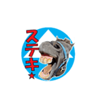 コジュウ軍団 実写スタンプ-1-（個別スタンプ：12）