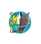 コジュウ軍団 実写スタンプ-1-（個別スタンプ：18）