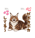 気持ち伝わる♡メインクーンのひとこと（個別スタンプ：1）