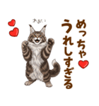 気持ち伝わる♡メインクーンのひとこと（個別スタンプ：4）