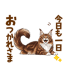 気持ち伝わる♡メインクーンのひとこと（個別スタンプ：5）