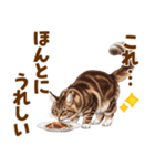気持ち伝わる♡メインクーンのひとこと（個別スタンプ：6）