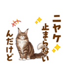 気持ち伝わる♡メインクーンのひとこと（個別スタンプ：10）