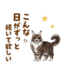 気持ち伝わる♡メインクーンのひとこと（個別スタンプ：11）