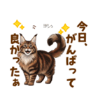 気持ち伝わる♡メインクーンのひとこと（個別スタンプ：12）