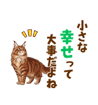 気持ち伝わる♡メインクーンのひとこと（個別スタンプ：14）