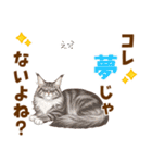 気持ち伝わる♡メインクーンのひとこと（個別スタンプ：15）