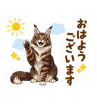 気持ち伝わる♡メインクーンのひとこと（個別スタンプ：17）