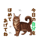 気持ち伝わる♡メインクーンのひとこと（個別スタンプ：18）