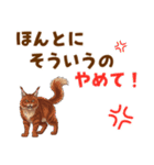 気持ち伝わる♡メインクーンのひとこと（個別スタンプ：23）