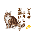 気持ち伝わる♡メインクーンのひとこと（個別スタンプ：24）