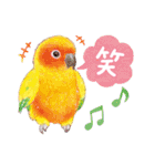 aoamoインコの敬語3（個別スタンプ：4）