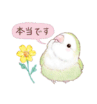 aoamoインコの敬語3（個別スタンプ：5）