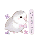 aoamoインコの敬語3（個別スタンプ：7）