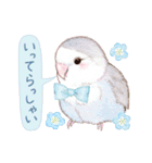 aoamoインコの敬語3（個別スタンプ：8）
