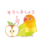 aoamoインコの敬語3（個別スタンプ：10）