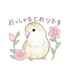 aoamoインコの敬語3（個別スタンプ：12）
