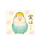 aoamoインコの敬語3（個別スタンプ：14）