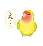 aoamoインコの敬語3（個別スタンプ：15）