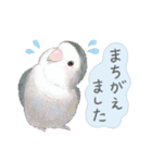aoamoインコの敬語3（個別スタンプ：18）