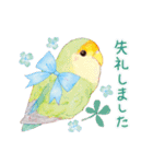 aoamoインコの敬語3（個別スタンプ：19）
