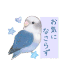 aoamoインコの敬語3（個別スタンプ：20）