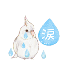 aoamoインコの敬語3（個別スタンプ：24）