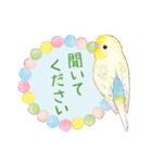 aoamoインコの敬語3（個別スタンプ：25）