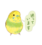 aoamoインコの敬語3（個別スタンプ：26）