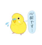 aoamoインコの敬語3（個別スタンプ：28）