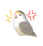 aoamoインコの敬語3（個別スタンプ：32）
